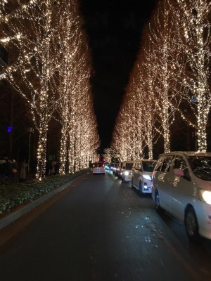 image1_4.jpeg
