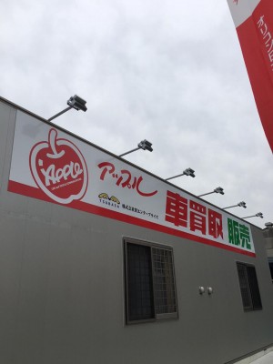 image1.jpeg