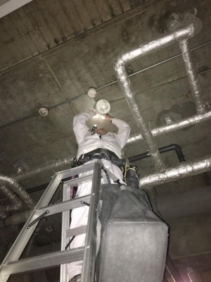 image1_4.jpeg